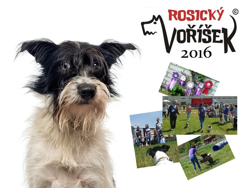 Rosický Voříšek banner